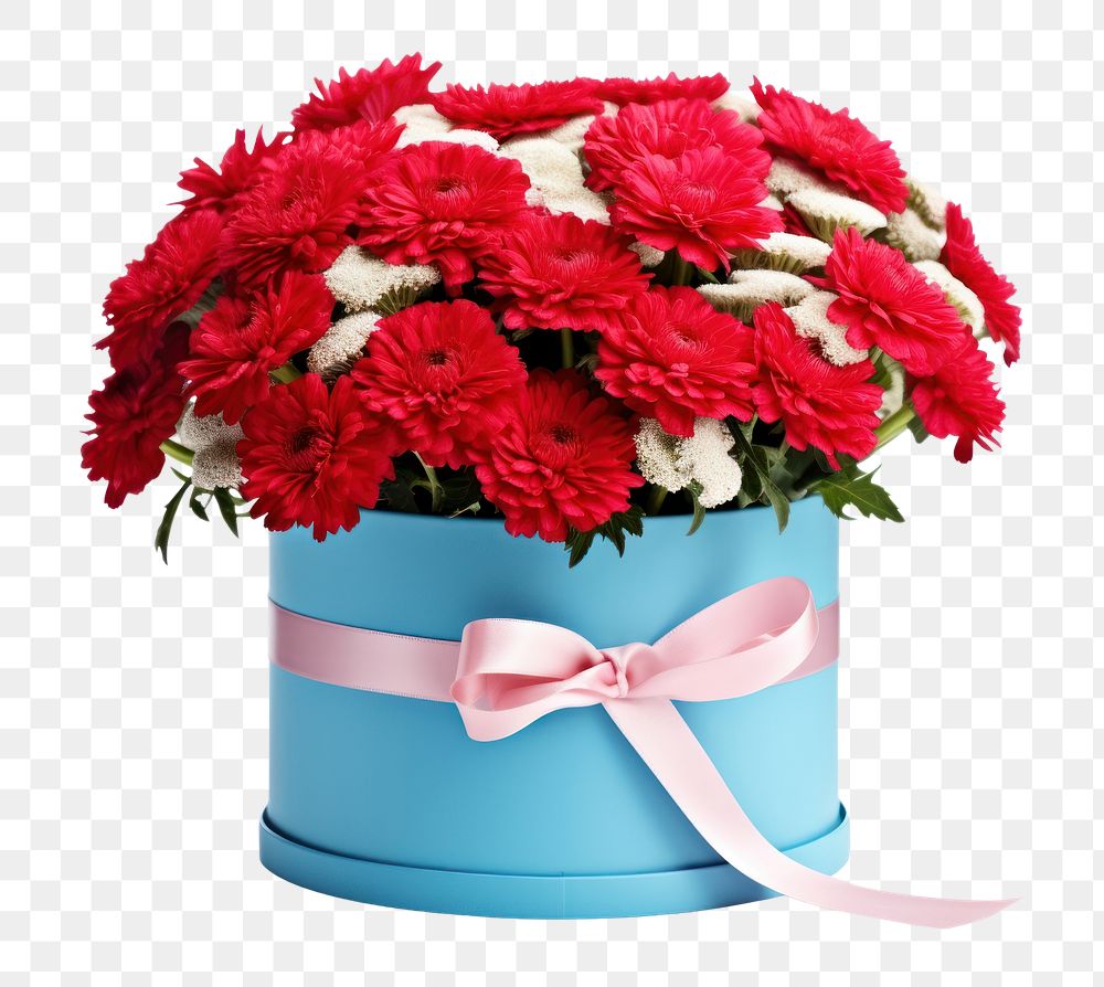 PNG Flower plant gift blue. AI generated Image by rawpixel.