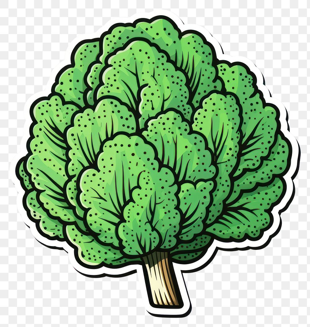 PNG  Cabbage vegetable plant green. AI generated Image by rawpixel.