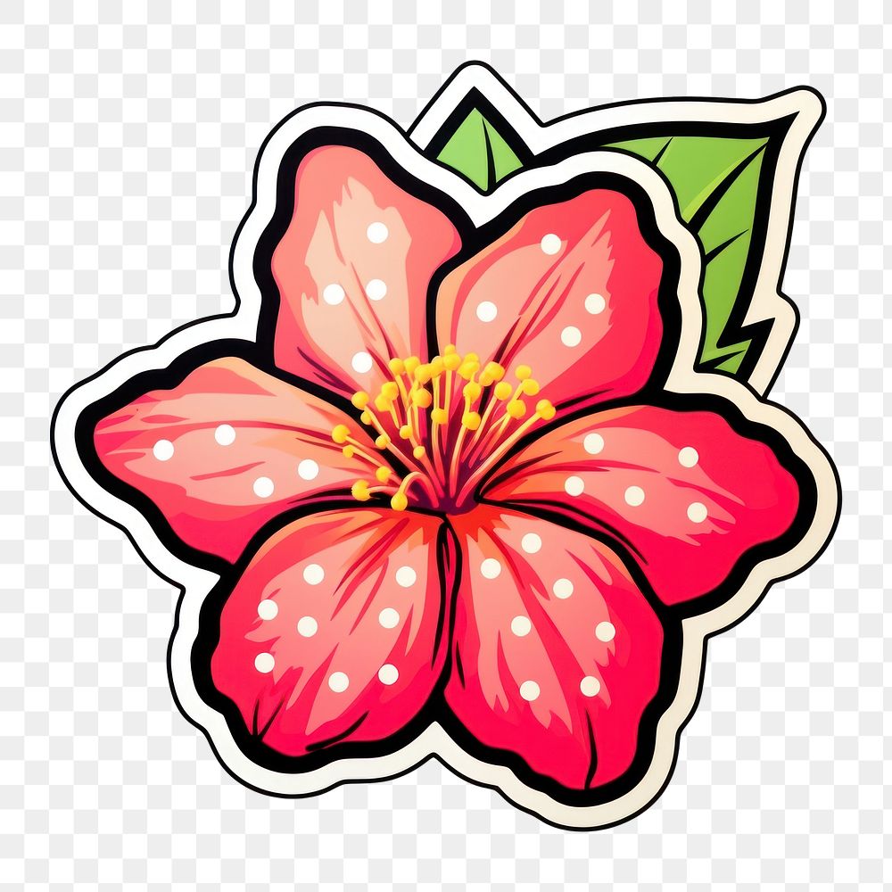 PNG  Lilly hibiscus flower plant. AI generated Image by rawpixel.