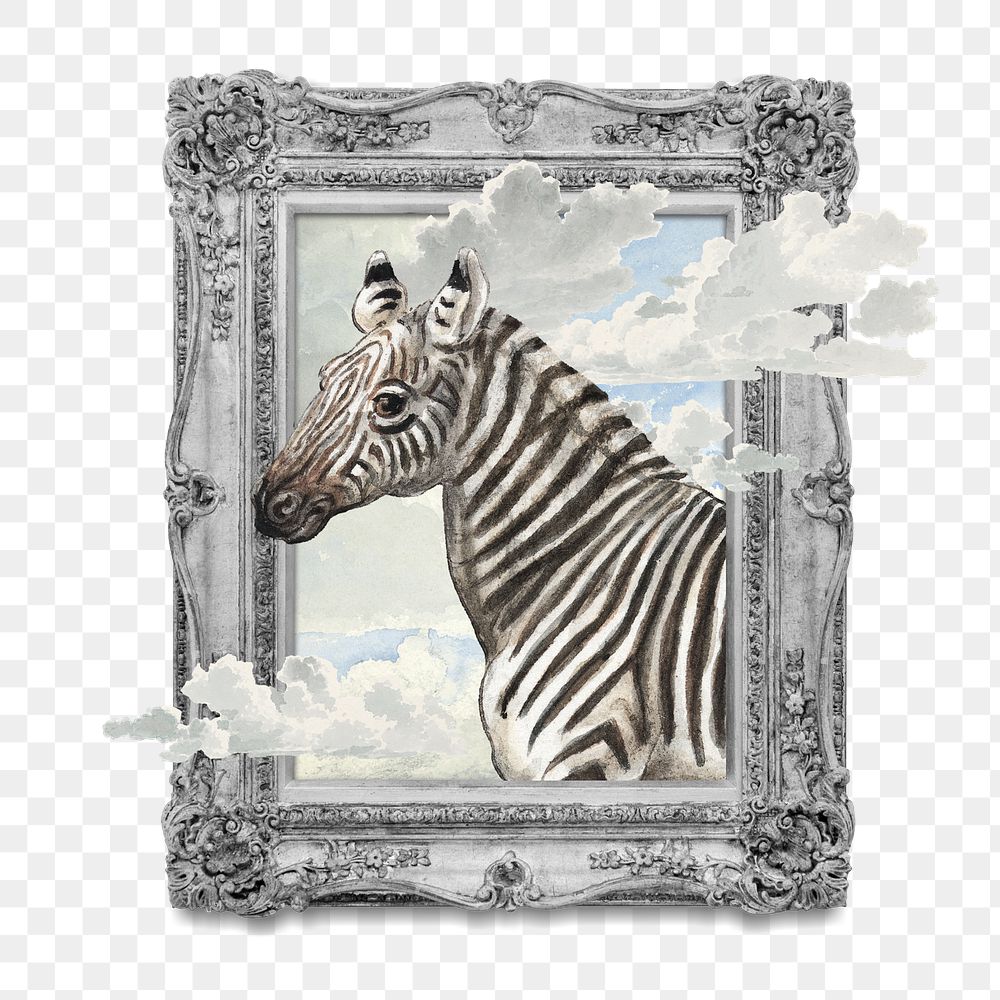 PNG Vintage zebra frame, aesthetic animal, transparent background. Remixed by rawpixel.
