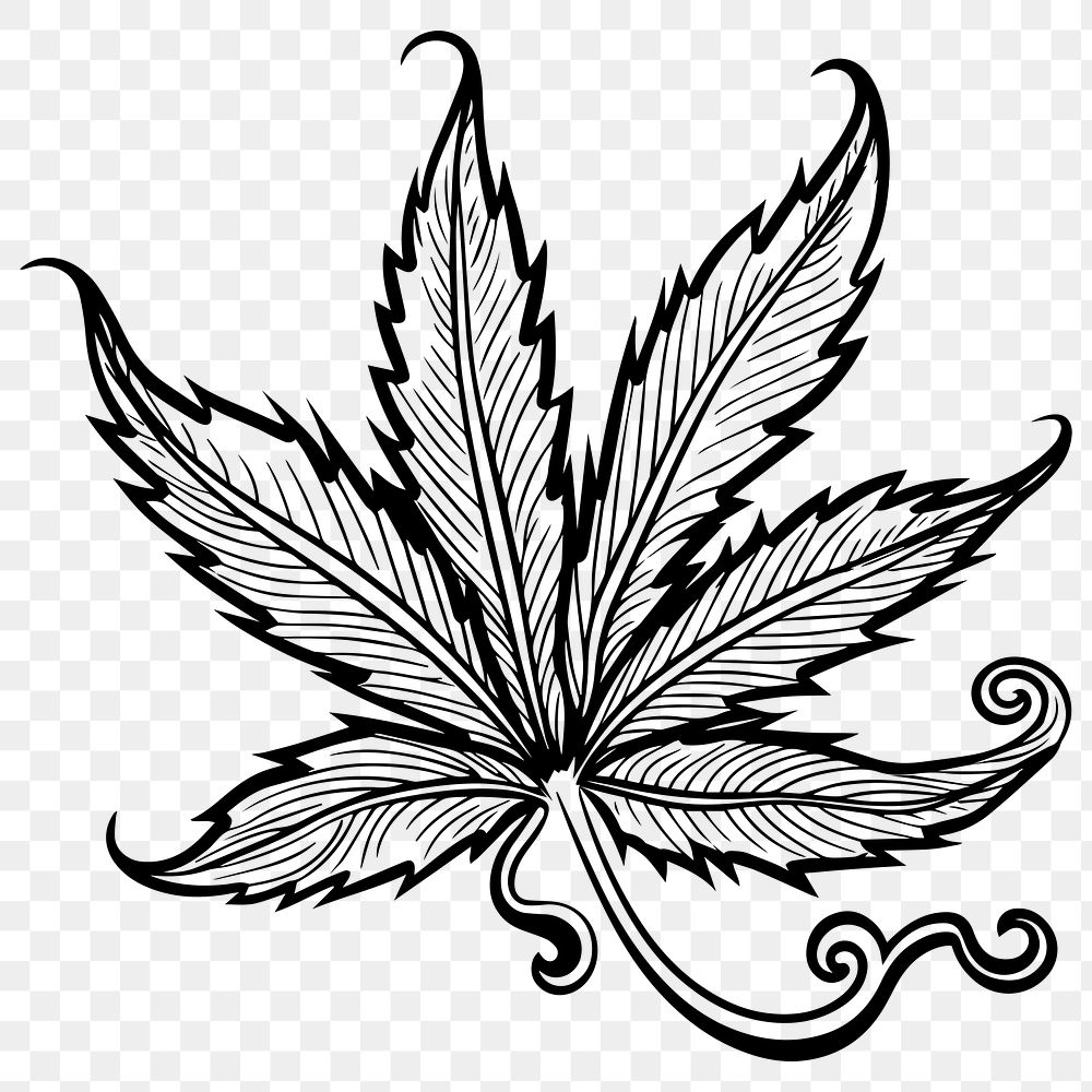 Weed leaf png flat old school illustration, transparent background. 