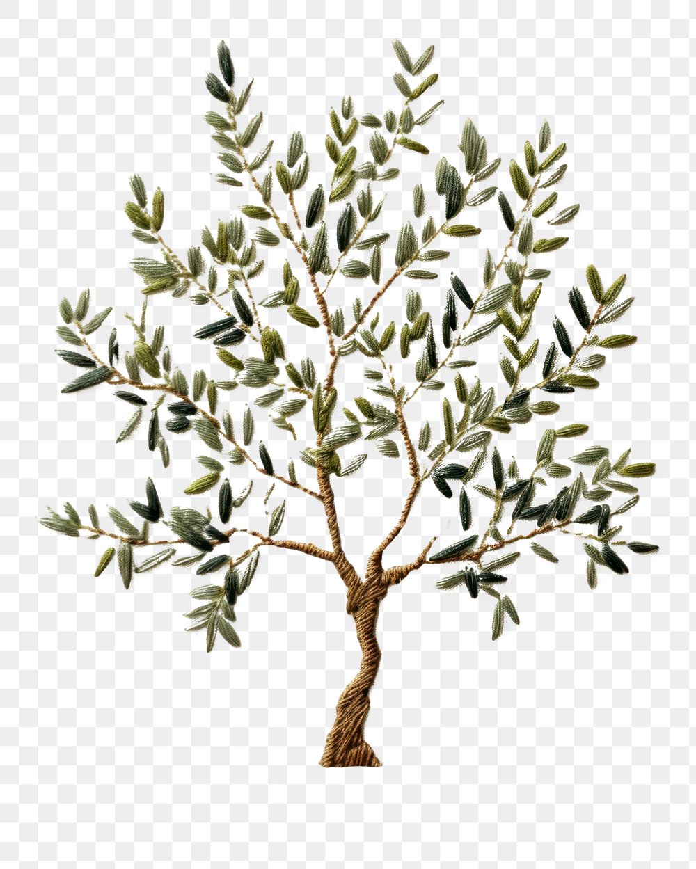 PNG Tree drawing sketch plant