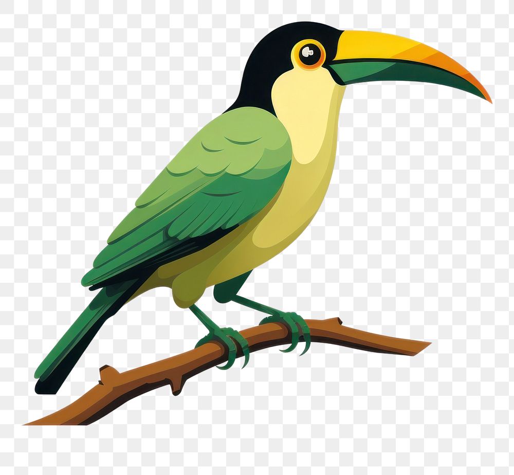 PNG  Emerald Toucanet toucan bird beak. AI generated Image by rawpixel.