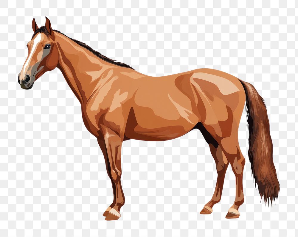 PNG  Cleveland Bay Horse horse stallion animal. AI generated Image by rawpixel.