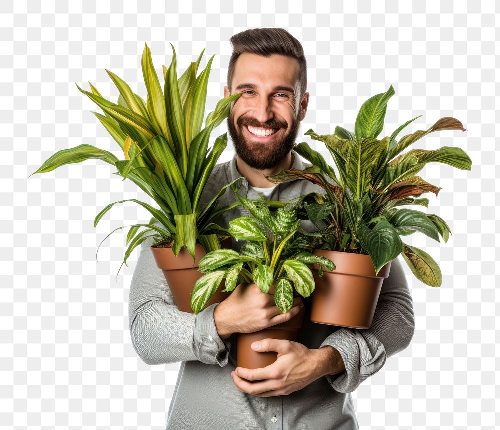 PNG  Potted plants vegetable adult leaf. AI generated Image by rawpixel.