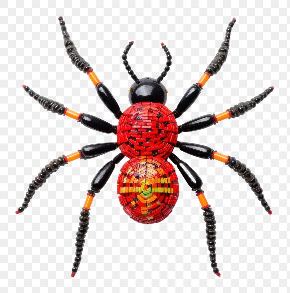 PNG Spider arachnid animal insect. AI generated Image by rawpixel.