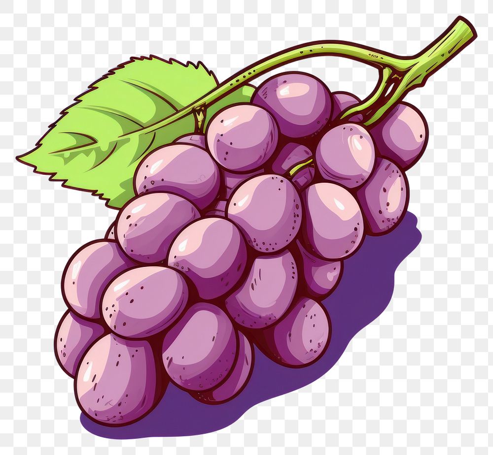 PNG Grape grapes plant fruit. AI generated Image by rawpixel.