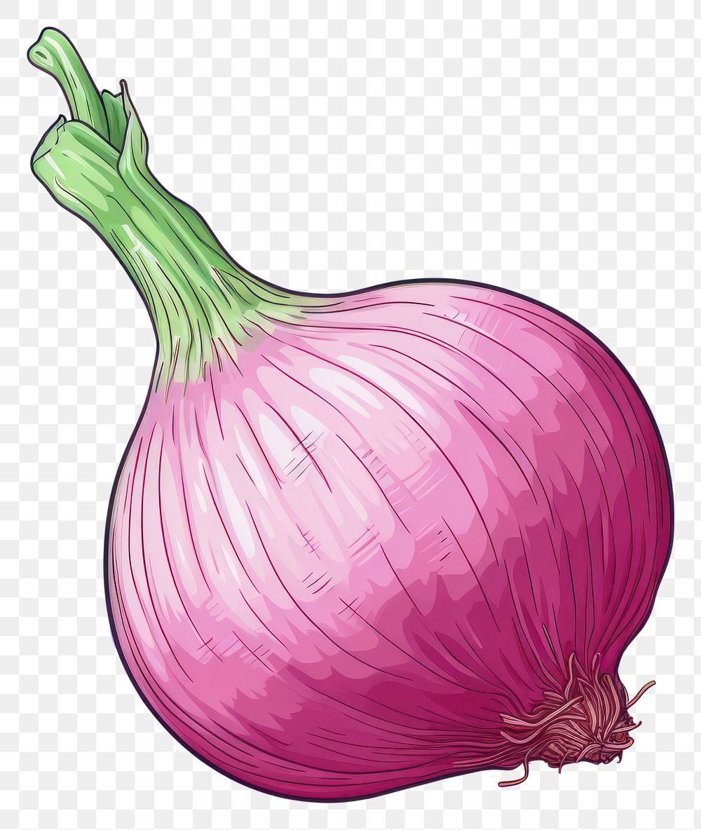 PNG Shallot vegetable onion plant. AI generated Image by rawpixel.