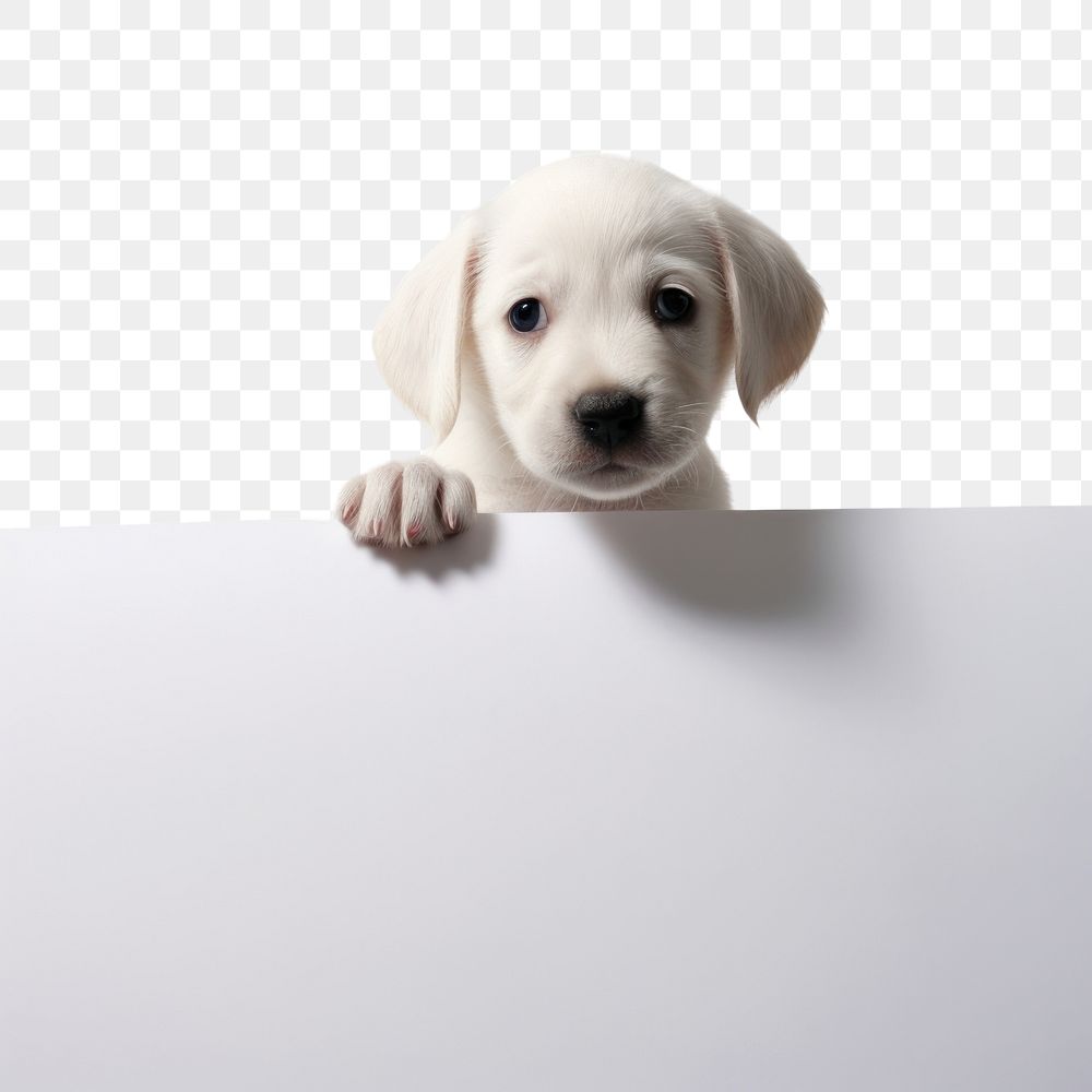 PNG A puppy portrait animal mammal. AI generated Image by rawpixel.