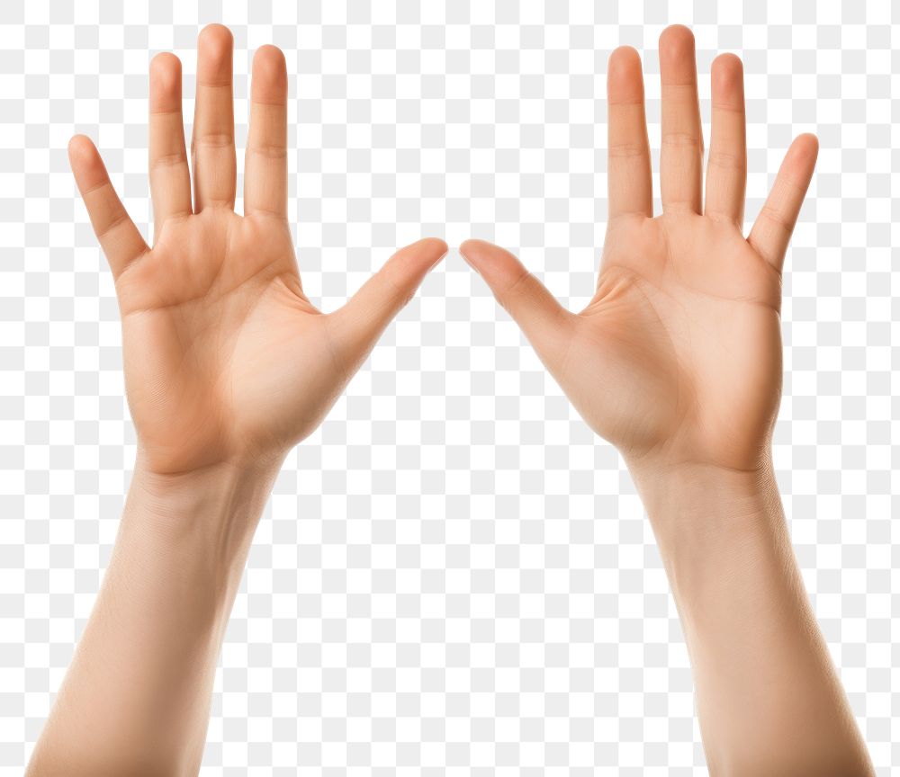 PNG Two open hands finger white background gesturing. 