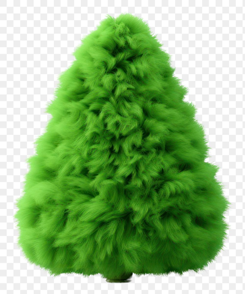PNG Christmas tree green christmas plant. AI generated Image by rawpixel.
