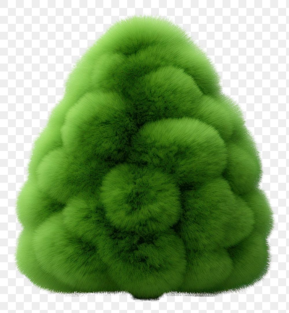 PNG Christmas tree green christmas plant. AI generated Image by rawpixel.