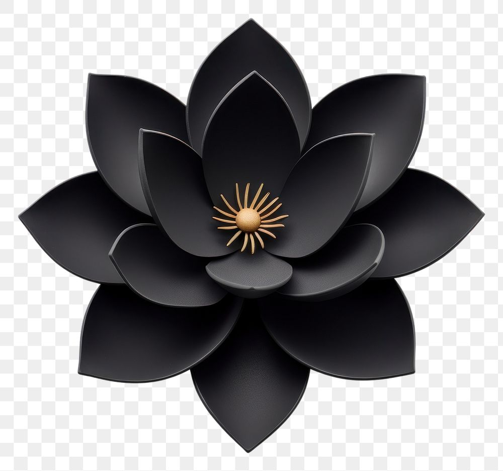 PNG  Lotus flower plant black. AI generated Image by rawpixel.
