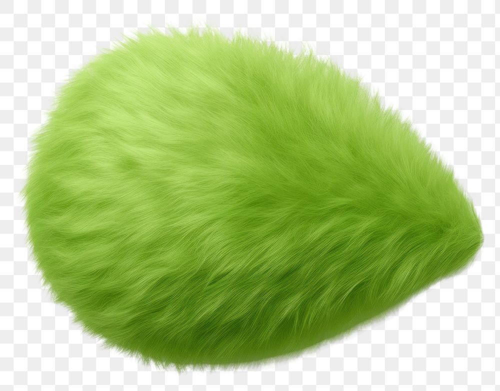 PNG Leaf fur green white background. AI generated Image by rawpixel.