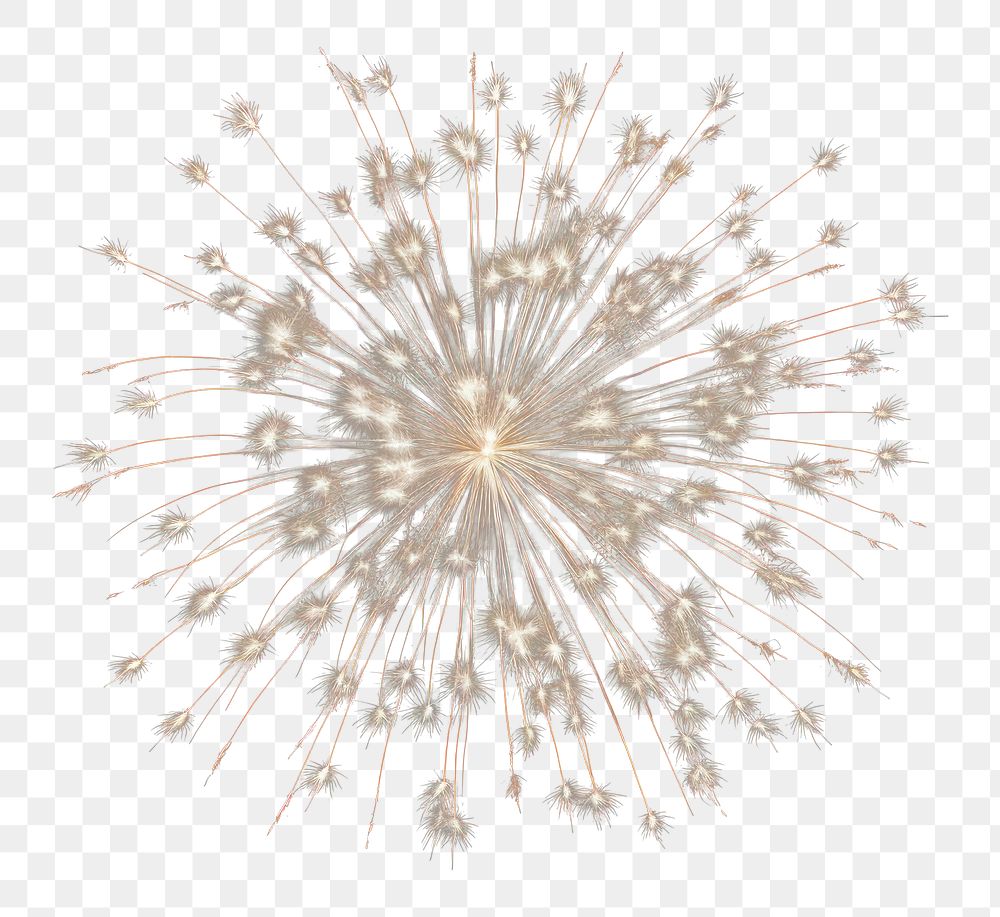 PNG  A fireworks illuminated celebration exploding. AI generated Image by rawpixel.