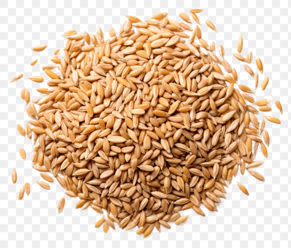 PNG  Farro hulled wheat food seed white background. AI generated Image by rawpixel.