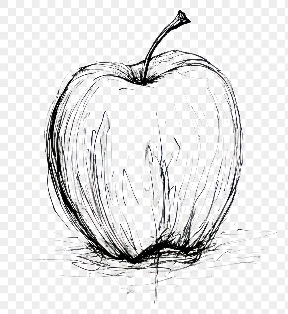PNG Apple drawing apple sketch. AI generated Image by rawpixel.