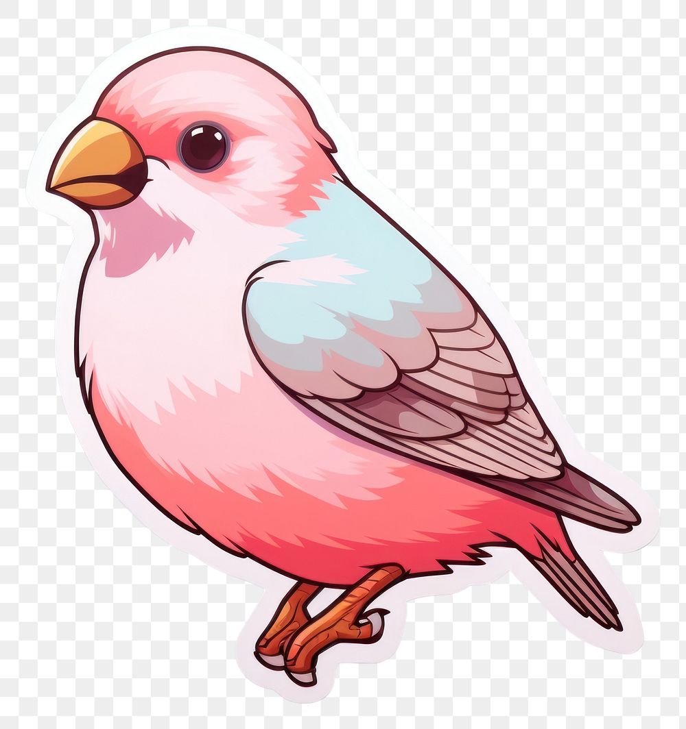 PNG Pet bird animal beak representation. AI generated Image by rawpixel.