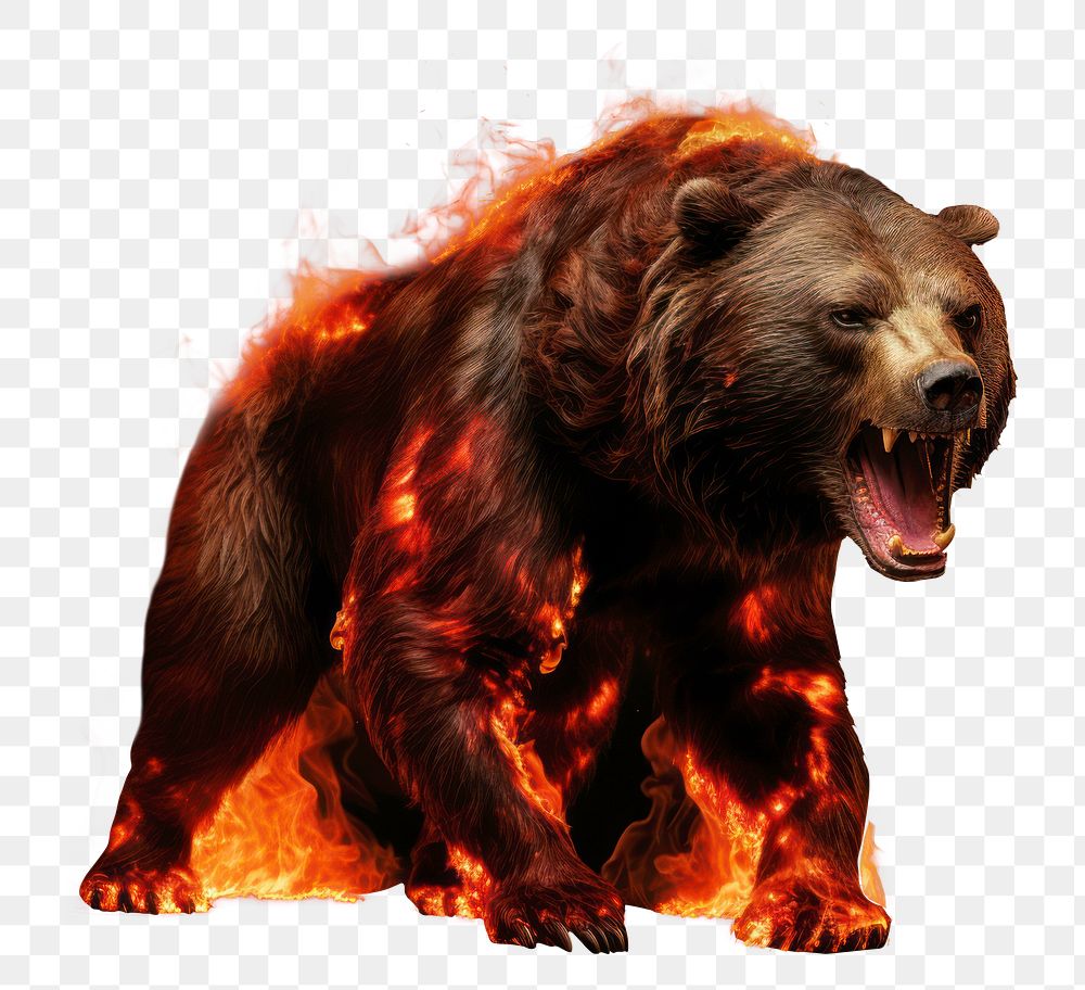 PNG Bear full body bear fire burning. AI generated Image by rawpixel.