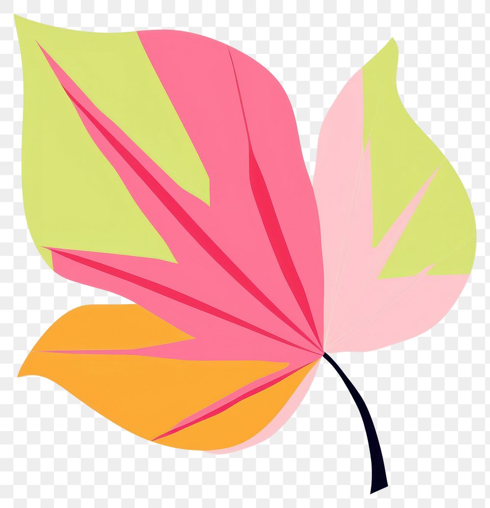 PNG  Leaf plant petal creativity. AI generated Image by rawpixel.