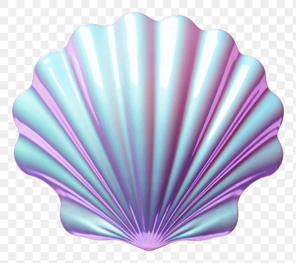 PNG Sea shell shape invertebrate seashell. 