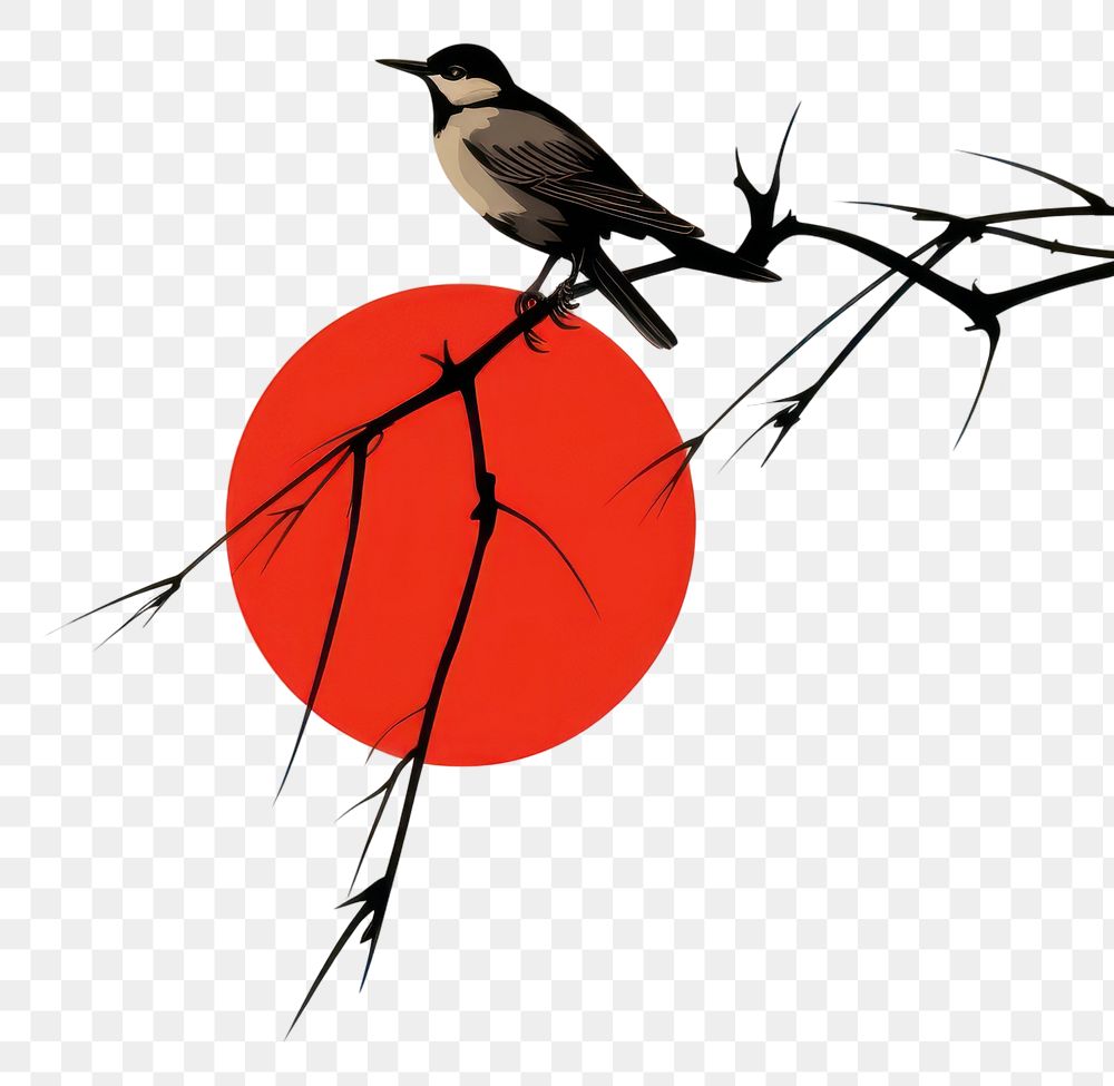 PNG  Bird with the red sun outdoors silhouette basketball. 