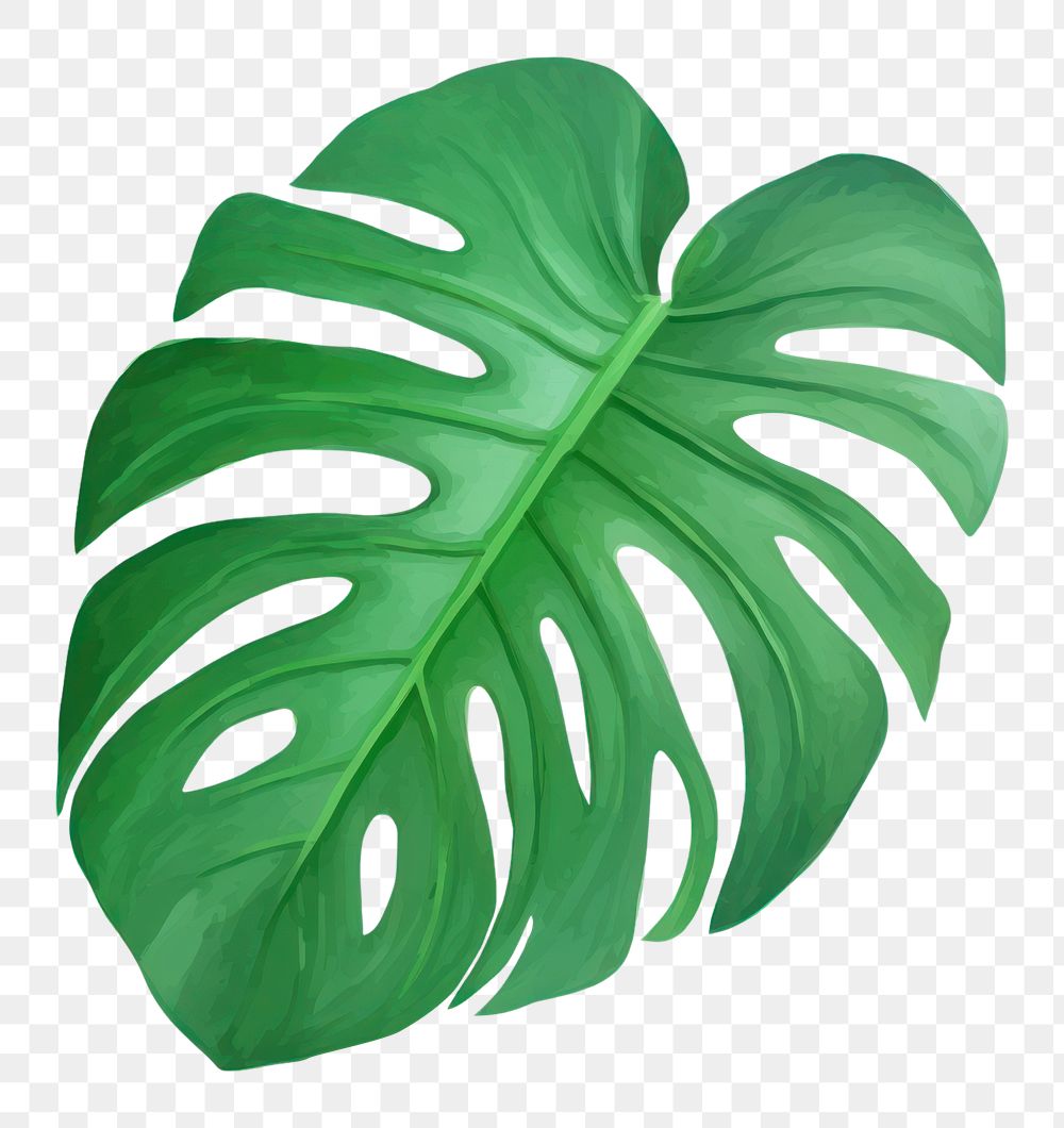 PNG Tropical plant leaf white | Premium PNG - rawpixel