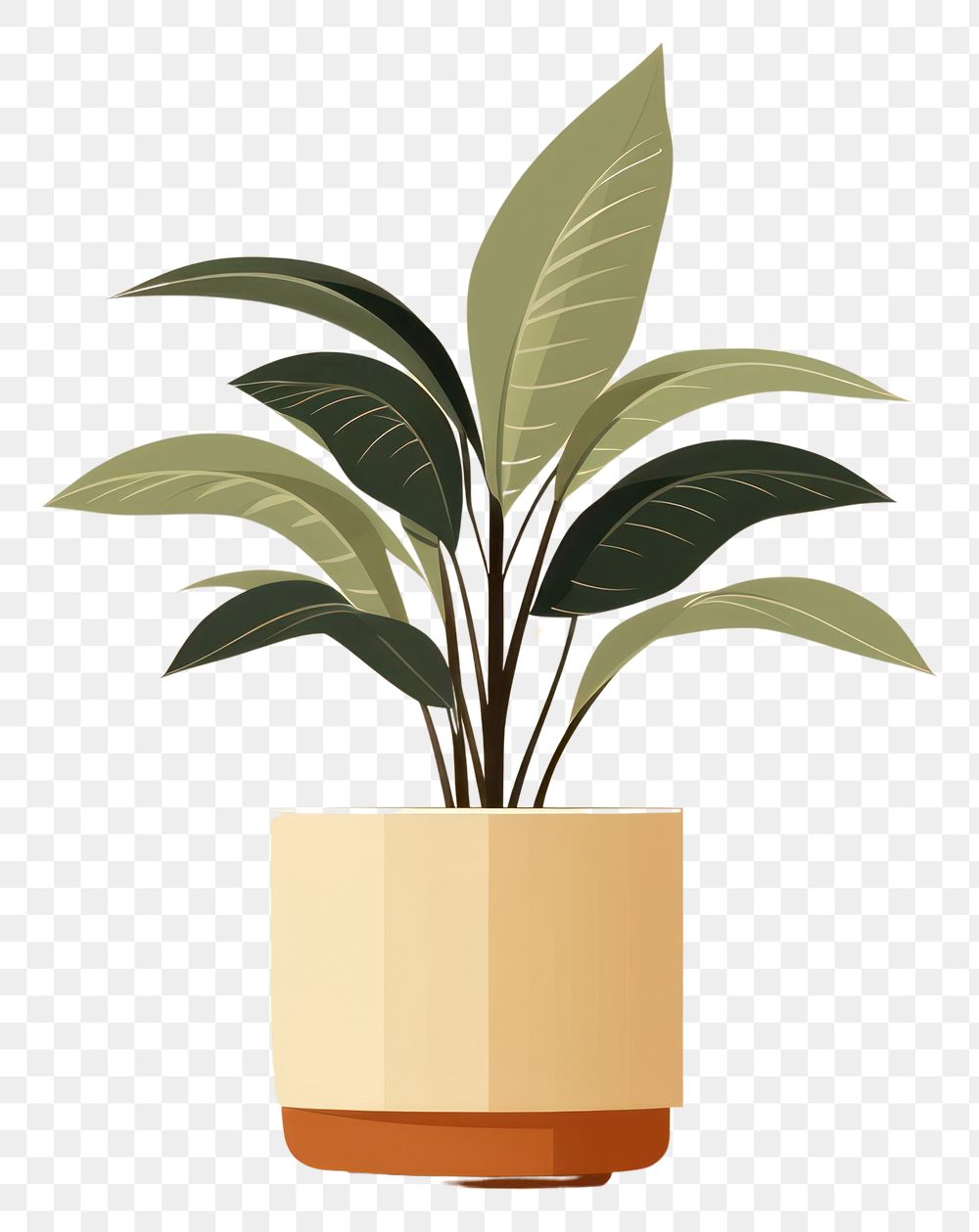 PNG Houseplant floristry flowerpot seedling. AI generated Image by rawpixel.