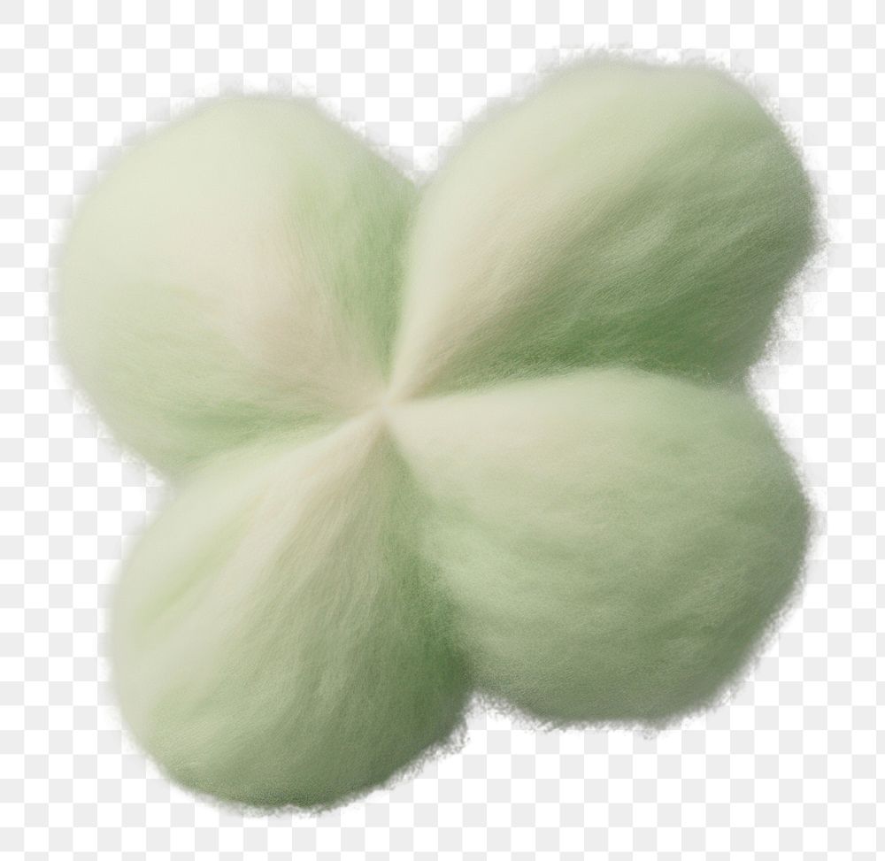 PNG Clover leaf wool cauliflower freshness. AI generated Image by rawpixel.