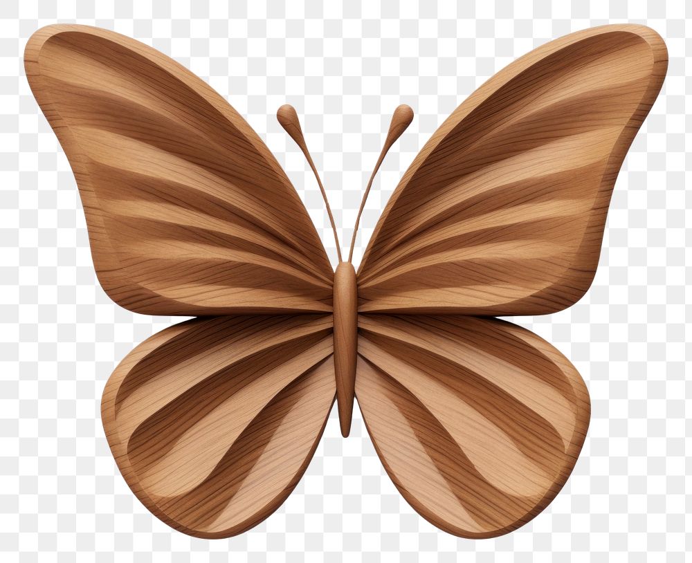 Butterfly shape wood insect animal. 