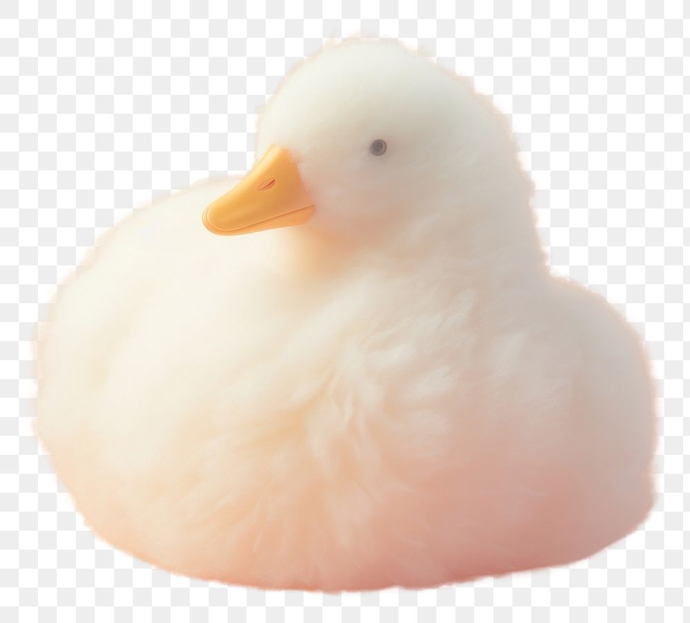 PNG Duck shape animal bird beak. AI generated Image by rawpixel.