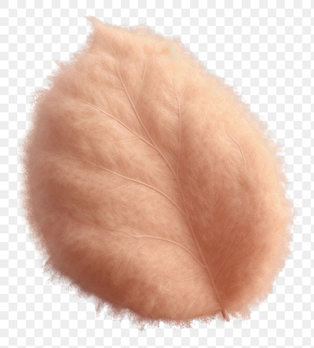 PNG Leaf fur softness clothing. AI generated Image by rawpixel.