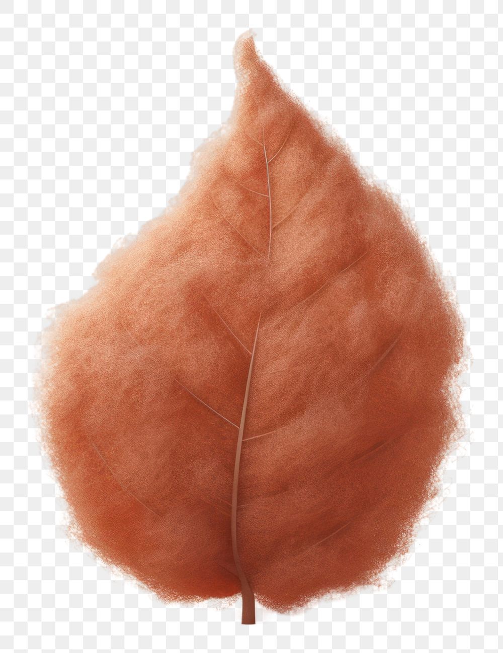 PNG Leaf brown plant softness. AI generated Image by rawpixel.