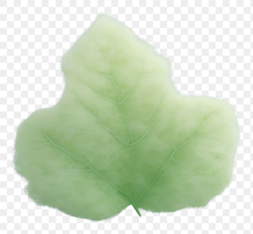 PNG Green leaf plant softness. AI generated Image by rawpixel.