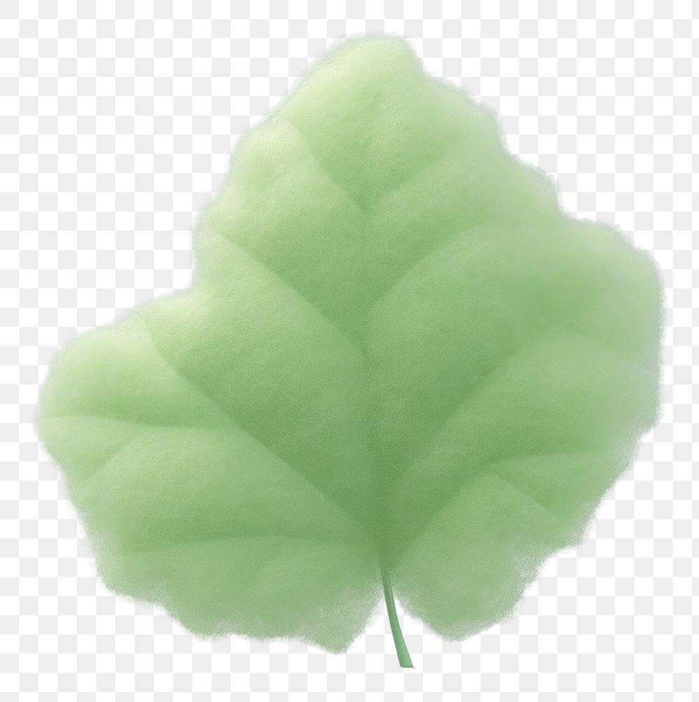 PNG Green leaf plant softness. AI generated Image by rawpixel.