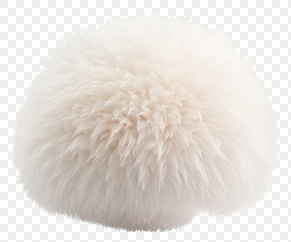 PNG Mushroom white fur white background. AI generated Image by rawpixel.
