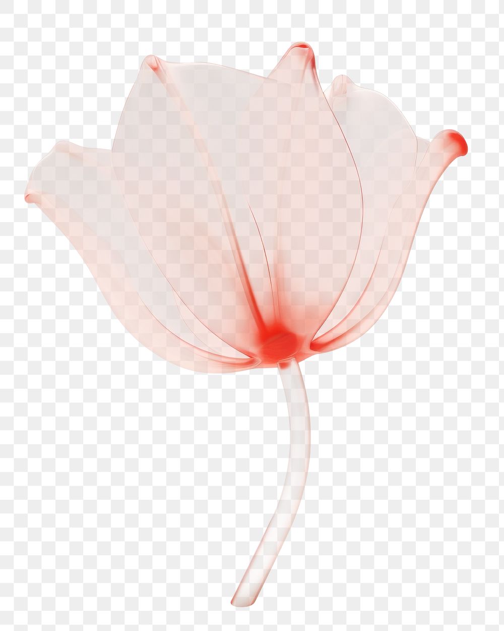 PNG Tulip flower petal plant white background. AI generated Image by rawpixel.