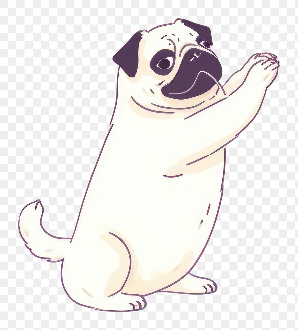 PNG  Cute pug begging for food animal mammal pet. AI generated Image by rawpixel.