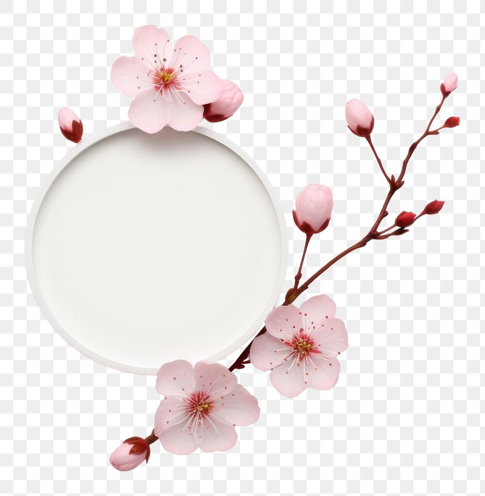 PNG Empty white circle decoreate with pink flower blossom petal plant. AI generated Image by rawpixel.