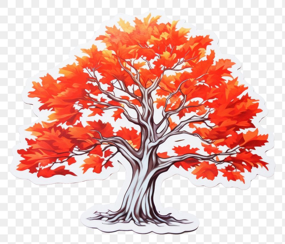 PNG Maple tree drawing sketch. AI generated Image by rawpixel.