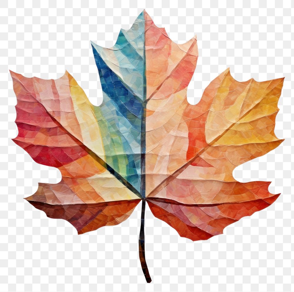 PNG  Maple leaf plant shape tree. AI generated Image by rawpixel.