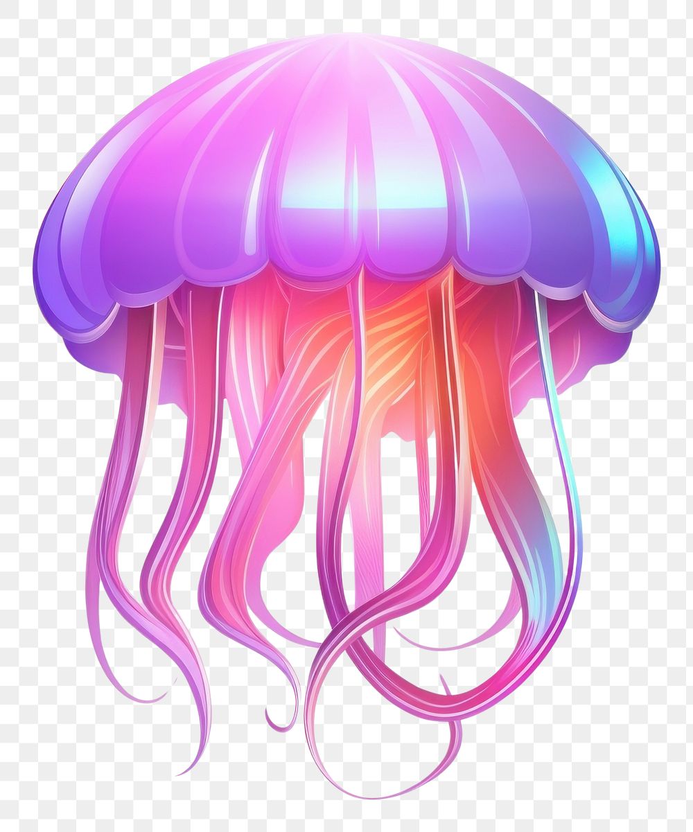 PNG Jelly fish jellyfish white background invertebrate. AI generated Image by rawpixel.