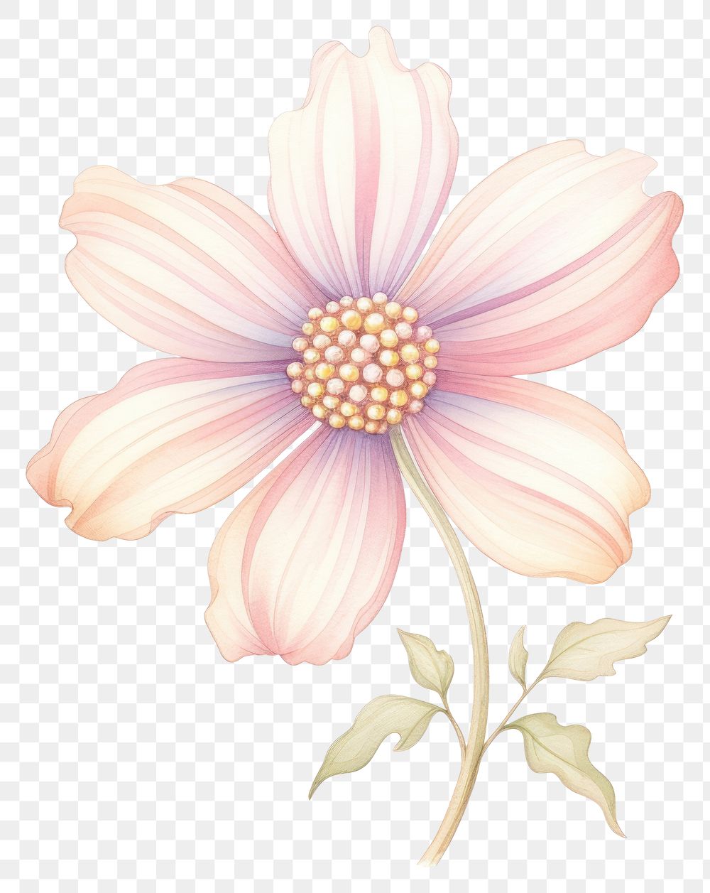 PNG Flower drawing pattern sketch. AI generated Image by rawpixel.