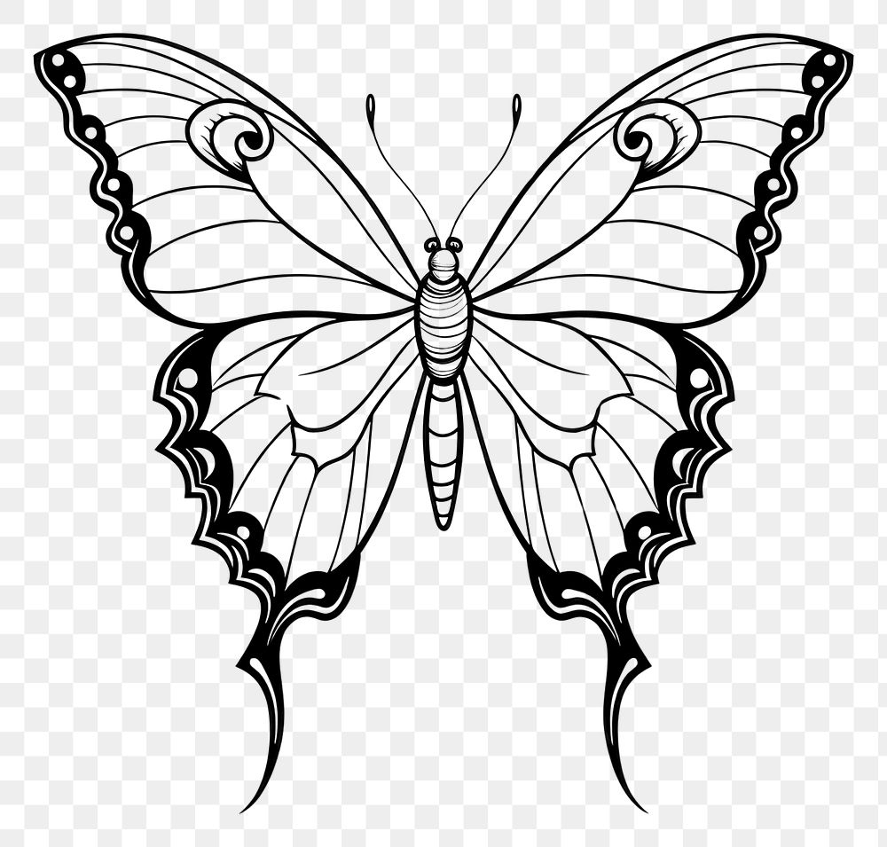 PNG  Butterfly sketch drawing animal. AI generated Image by rawpixel.