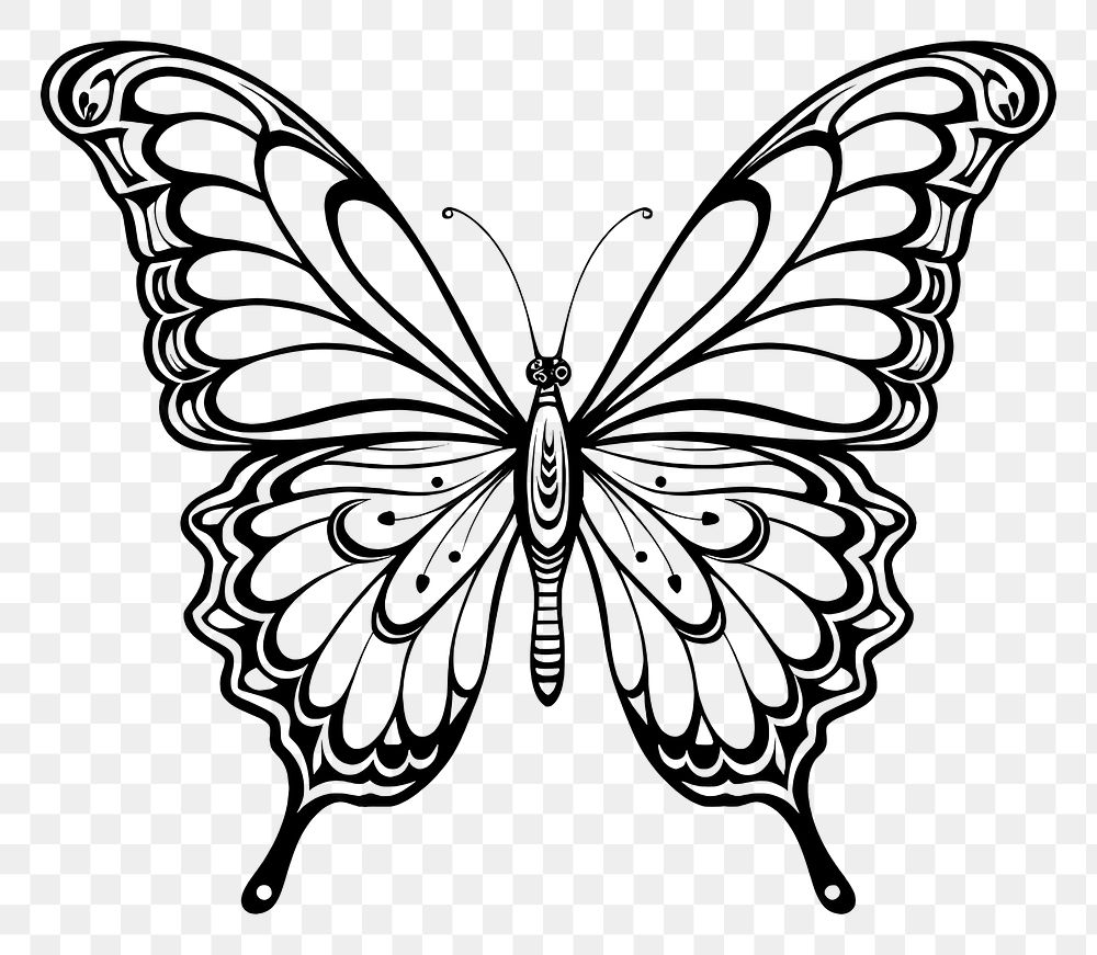pencil drawing butterfly easy - Clip Art Library