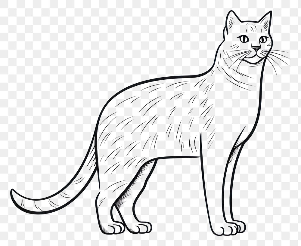 PNG  Cat sketch drawing animal. AI generated Image by rawpixel.