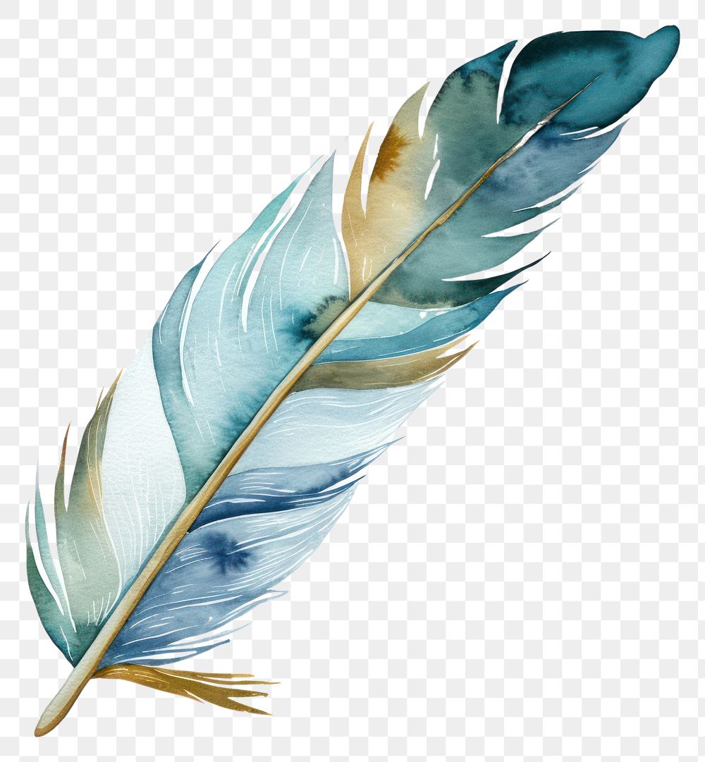 PNG Feather white background lightweight creativity. AI generated Image by rawpixel.