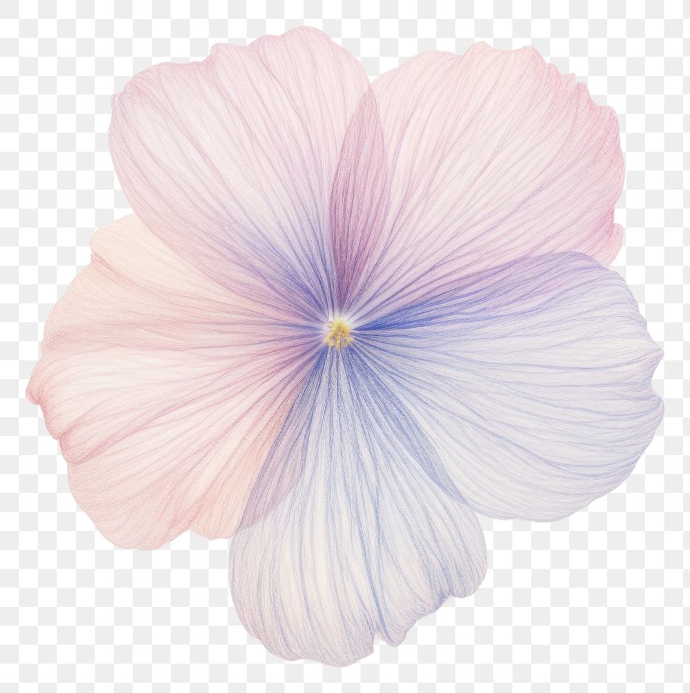 PNG Flower petal plant creativity. AI generated Image by rawpixel.
