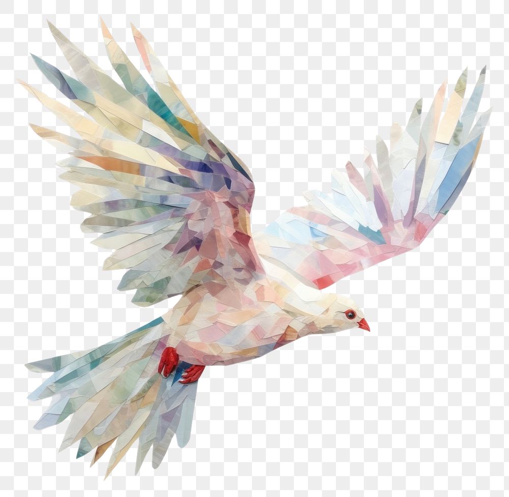 PNG  Dove animal flying bird. AI generated Image by rawpixel.