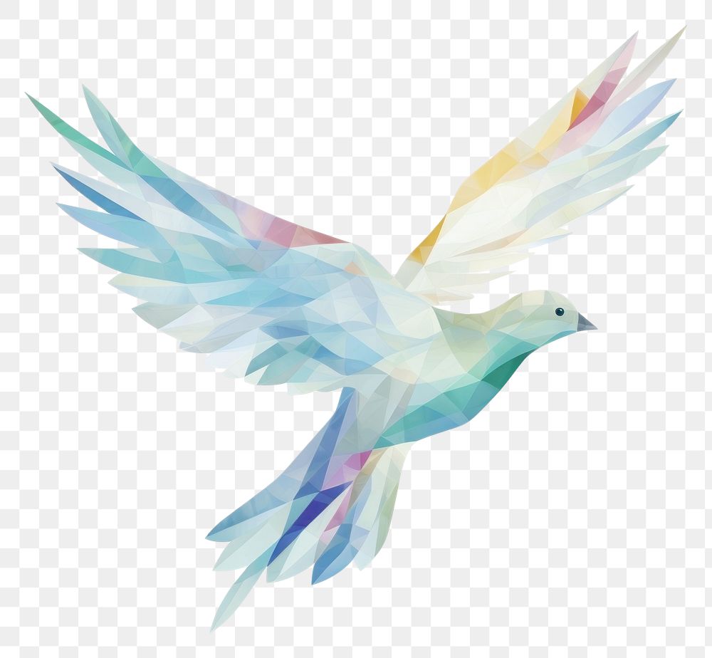 PNG  Dove animal white bird. AI generated Image by rawpixel.